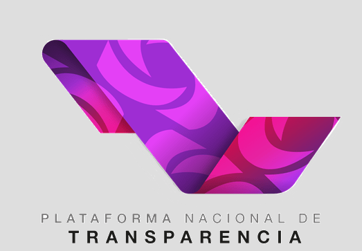 PLATAFORMA DE TRANSPARENCIA : 